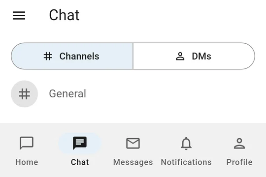 The Chat tab with channels and direct messages